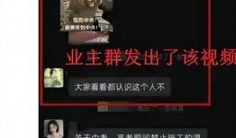 房地产女销售爆料视频,真实爆料视频深度解析